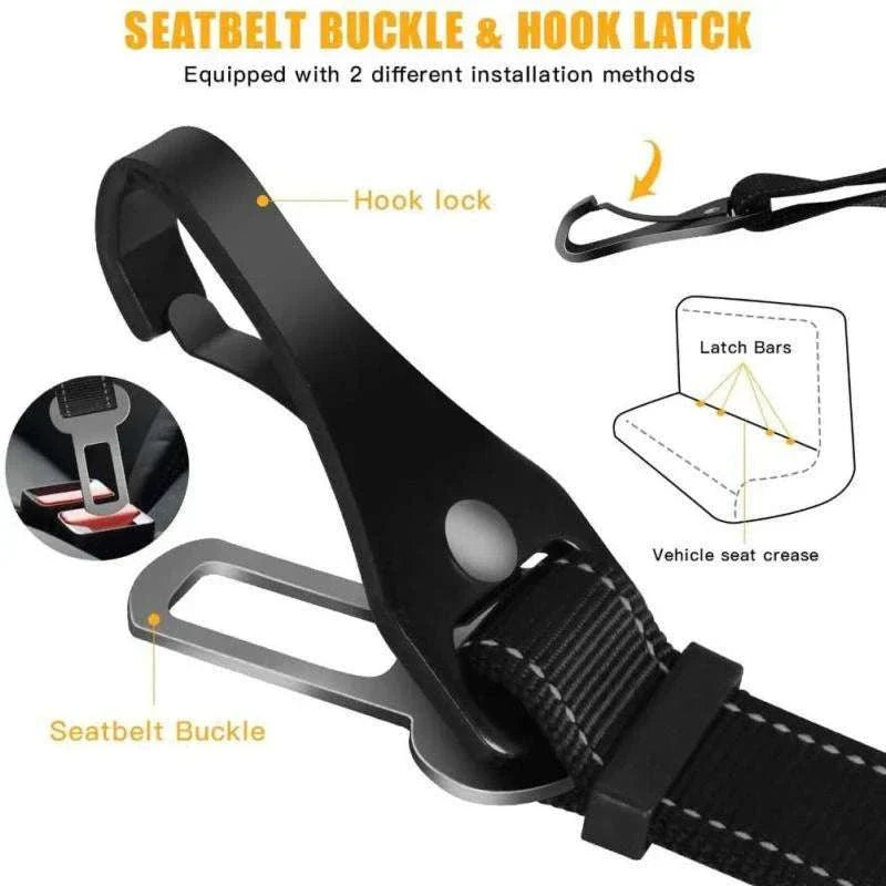 Pet seat belt