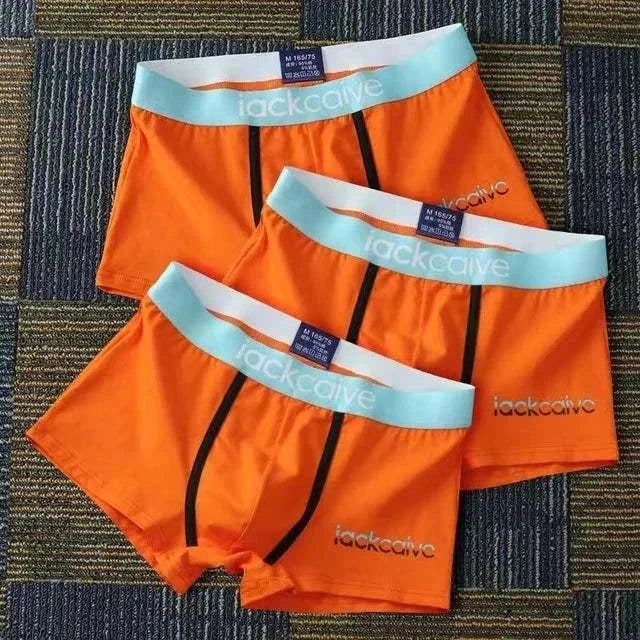 Men Panties Boxer Shorts