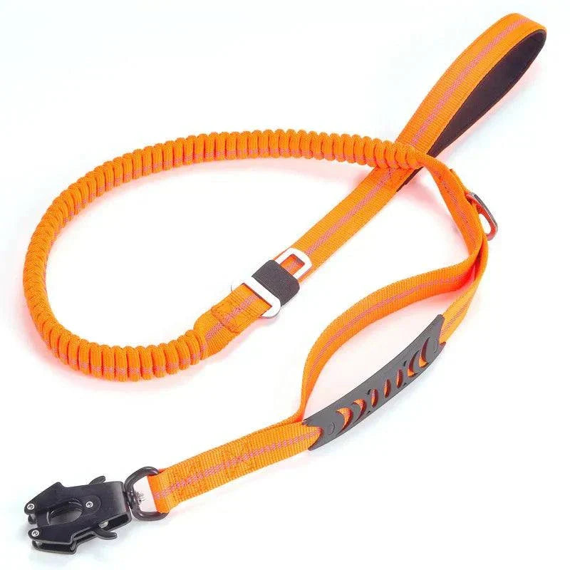 Large Dog Leash