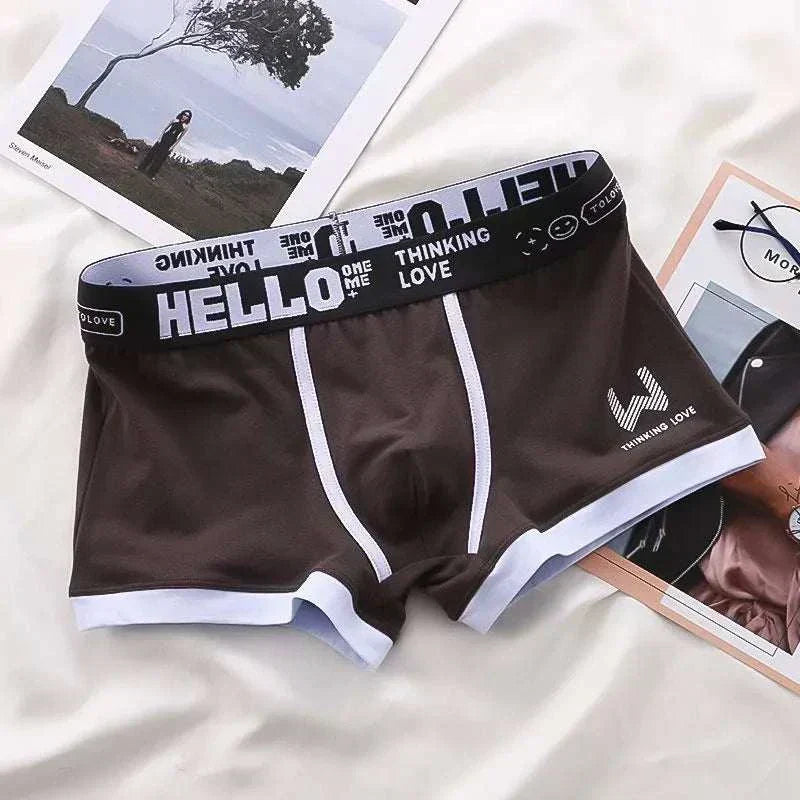 Men Panties Cotton boxer