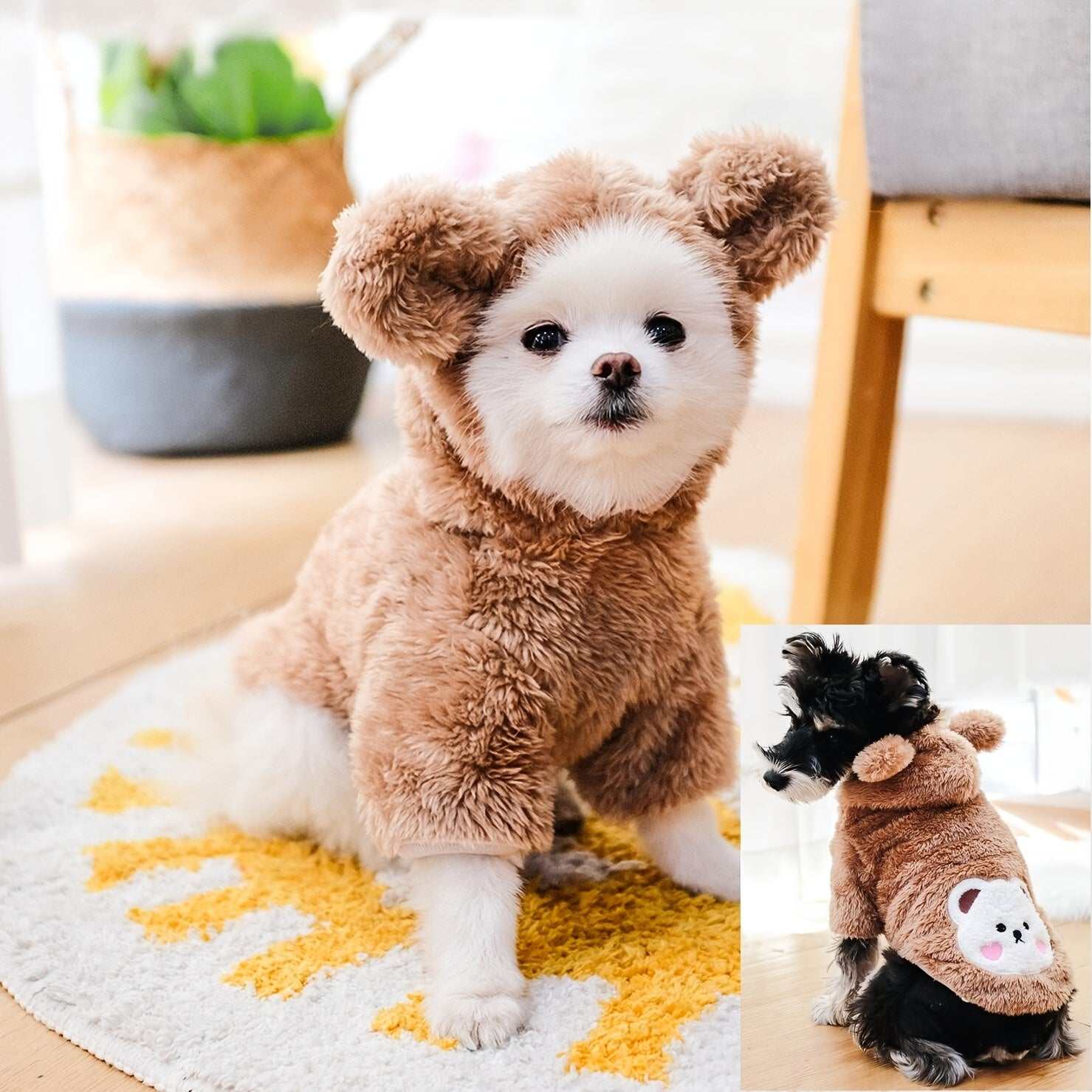 Pet Costume for Dog & Cat