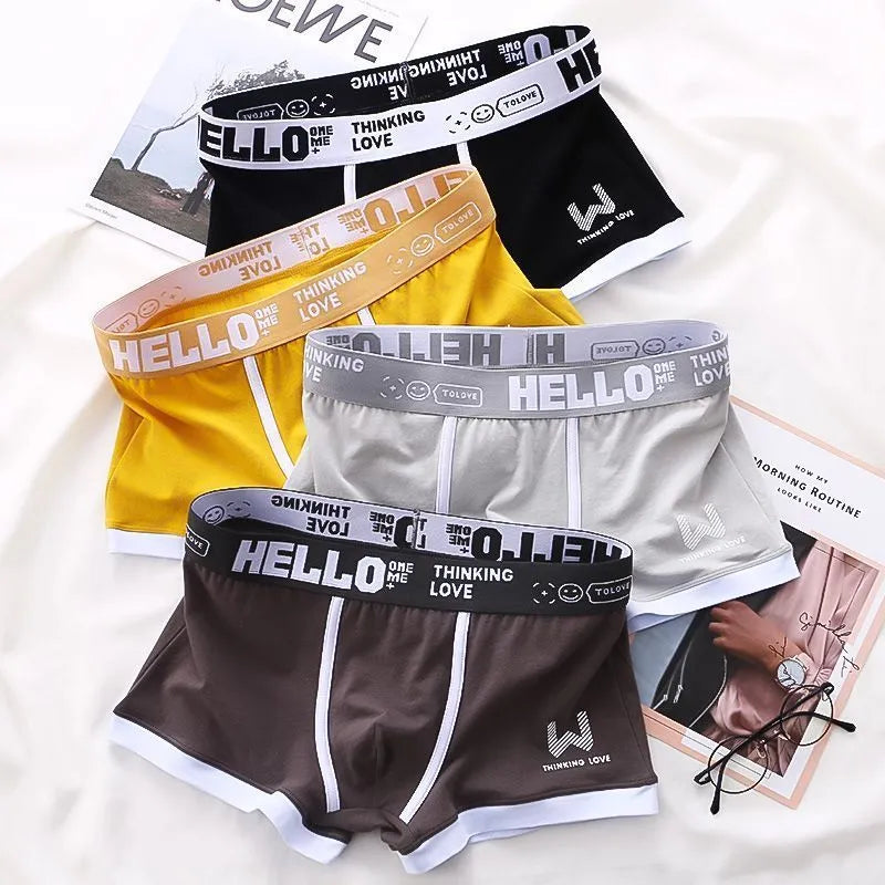 Men Panties Cotton BoxerShorts Man Underwear Mens Boxers Breathable U Convex Male Underpants Sexy Plus Size