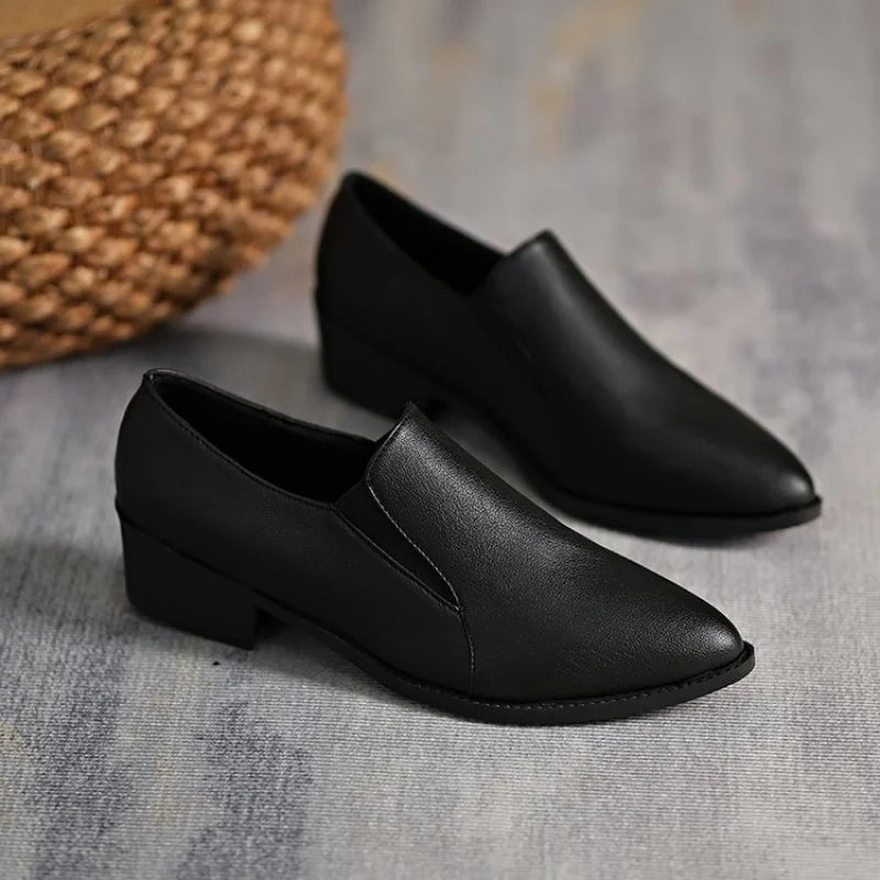 Women's French Pointed-Toe Slip-On Loafer Breathable Comfort Shoes Spring/Fall
