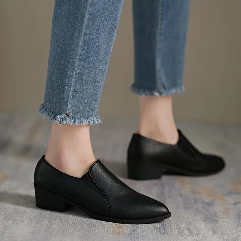 Women's French Pointed-Toe Slip-On Loafer Breathable Comfort Shoes Spring/Fall