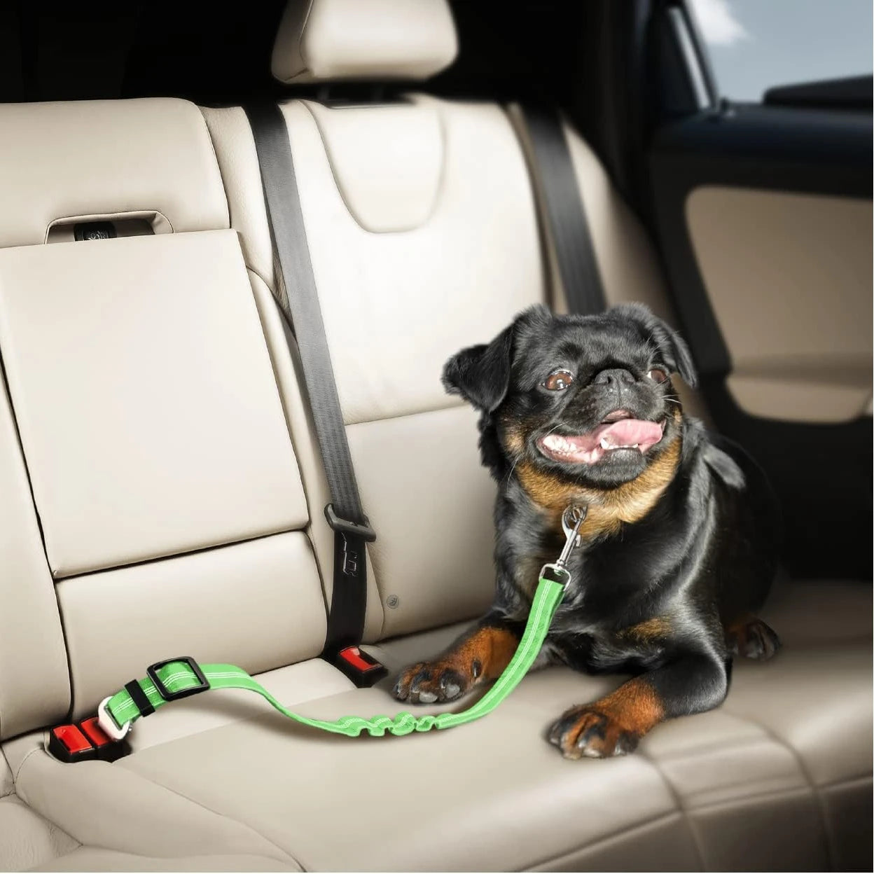 Universal Adjustable Cat Dog Seat-Belt Elastic & Reflective Vehicle Nylon Seat Belt for Small Medium Large Dog