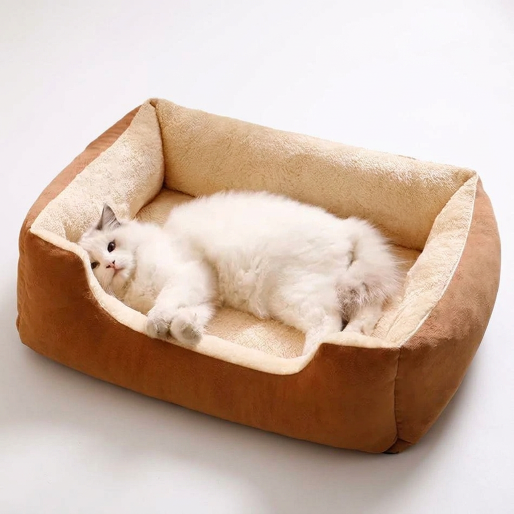 Cat-bed photo with lettering removed