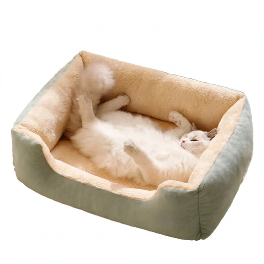 Bed for Cats Kitten Goods Accessories Dog All Houses Supplies Habitats Basket House Beds